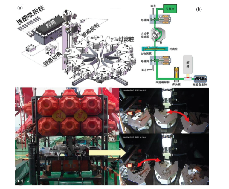 深海海洋生物原位监测 (4).png